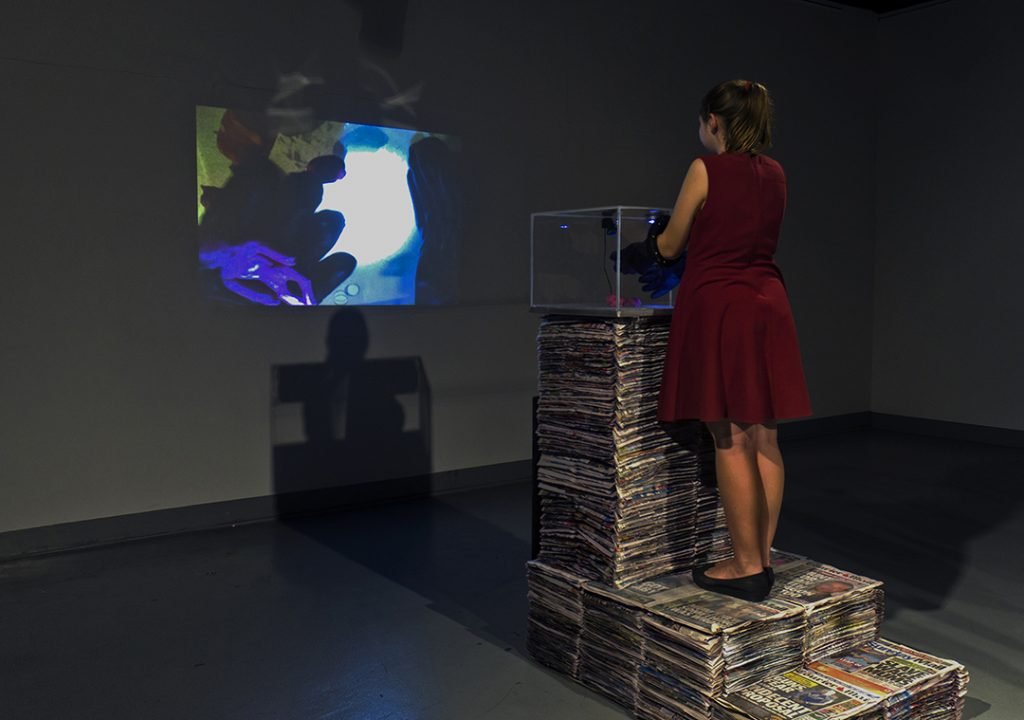 Quarantine Manipulator (2024) interactive installation by Lauren Edmonds