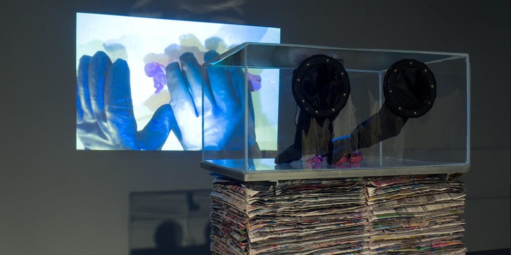 Quarantine Manipulator (2024) interactive installation by Lauren Edmonds