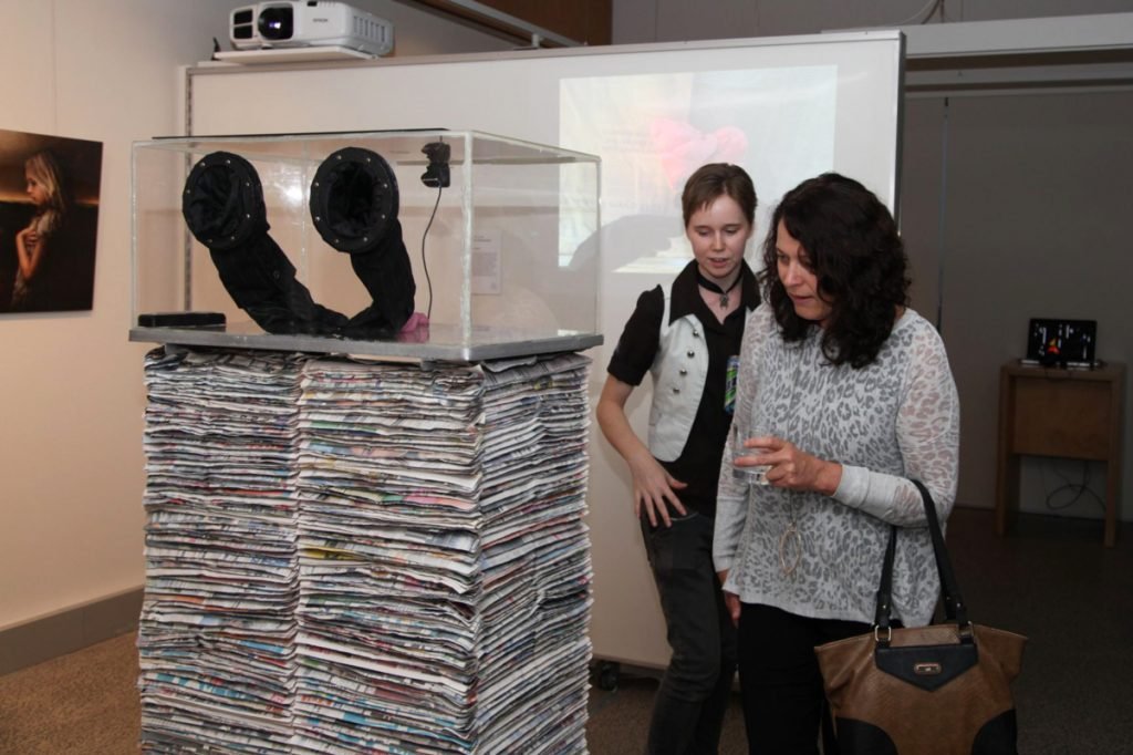 Quarantine Manipulator (2014) interactive installation by Lauren Edmonds